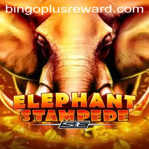 Exploring ElephantStampedeSE and Bingo Plus